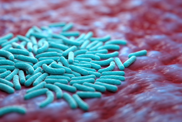 Microbiota humana. Probióticos, prebióticos y aplicaciones